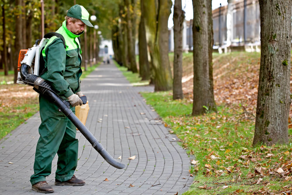 Landscaping Services For Sale In Arizona And Minnesota